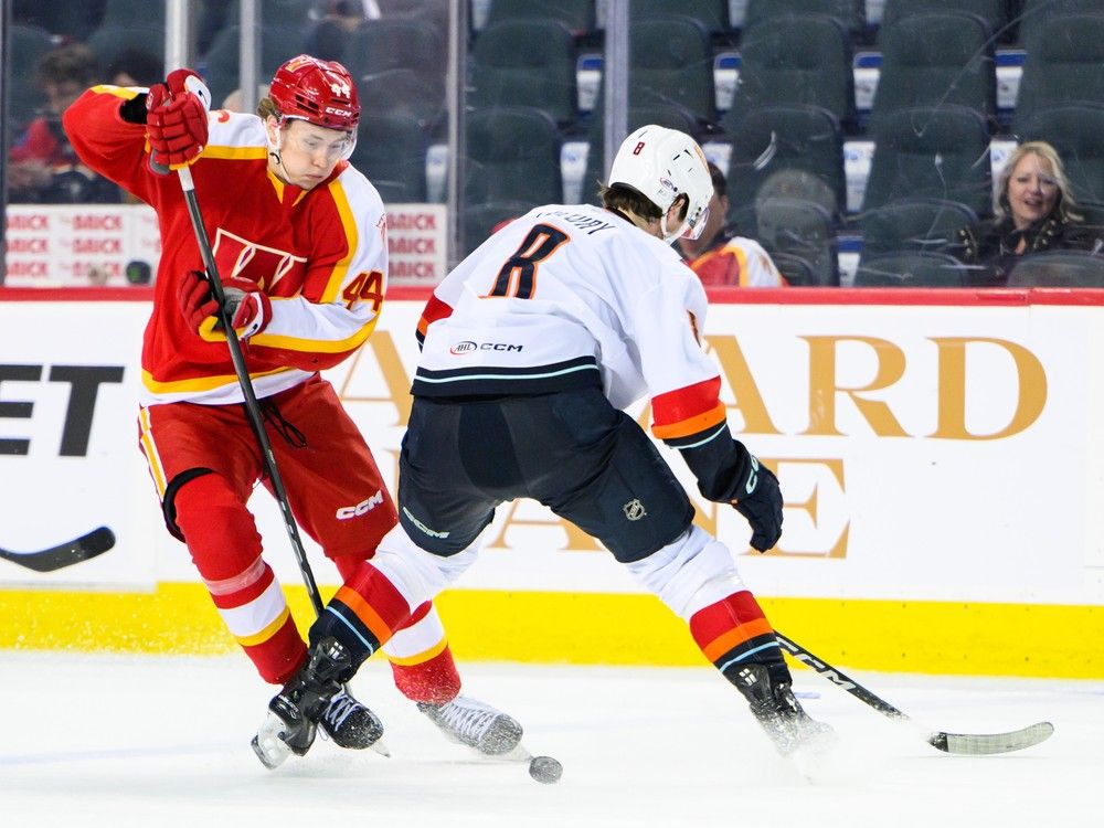 Flames prospect William Stromgren proves potential with clutch playoff
goal for Wranglers