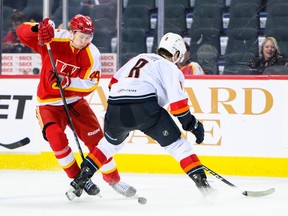 Flames prospect Stromgren shows potential with decisive playoff goal