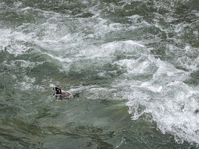 A male harlequin duck rides the current in the Sheep River in Sheep River Provincial Park west of Diamond Valley, Ab., on Tuesday, May 28, 2024.