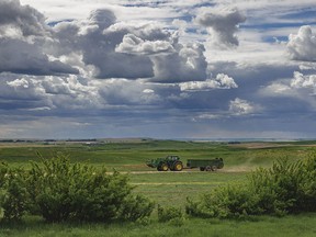 Rain falling to the west of the Chimney Hills south of Rockyford, Ab., on Monday, June 3, 2024.