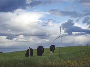 No rain, just wind near the east end of the Wintering Hills north of Hussar, Ab., on Monday, June 3, 2024.