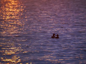 Sunset on Weed Lake by Langdon, Ab., on Monday, June 3, 2024.