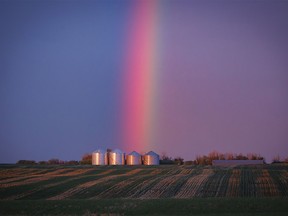 A pot of grain by Langdon, Ab., on Monday, June 3, 2024.