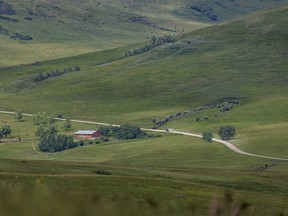 A truck pulls a stock trailer up Beaver Valley Road west of Nanton, Ab., on Monday, June 17, 2024.
