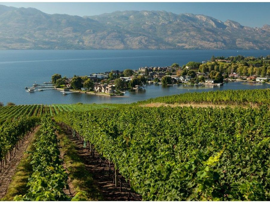 Oleksyn: A tour through some of my favourite spots in Okanagan wine country