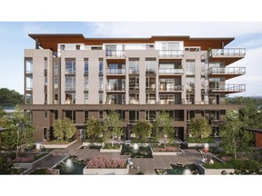 jayman-construiu-magna