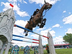 richard-white-spruce-meadows