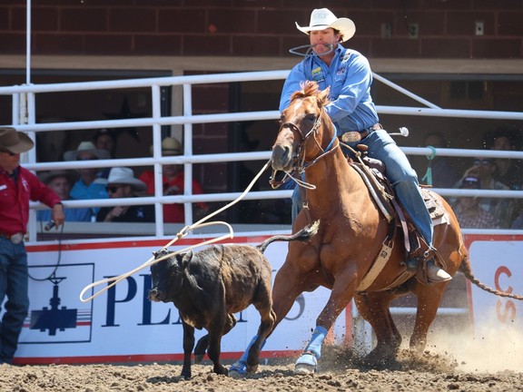 RODEO NOTES: Stampede brought bull-rider a wife and son 'Calgary ...