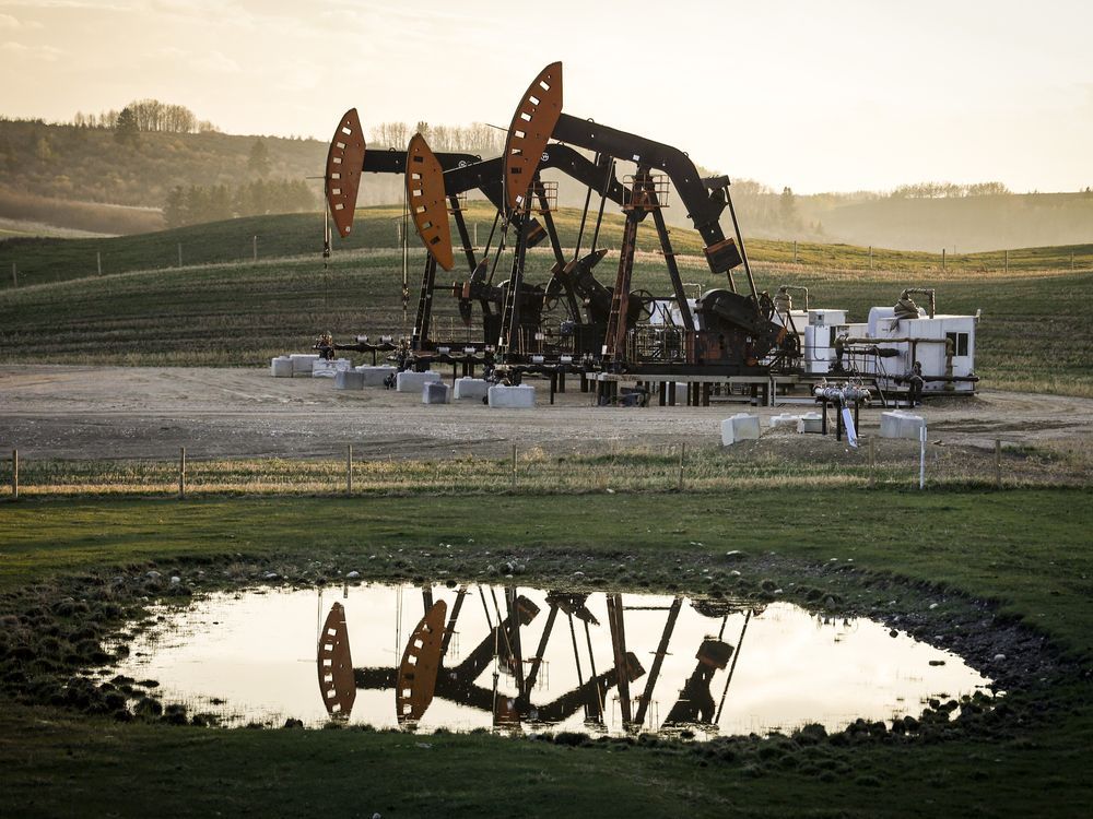 Pumpjacks draw out oil and gas from a well heads near Calgary on Sunday, May 12, 2024.