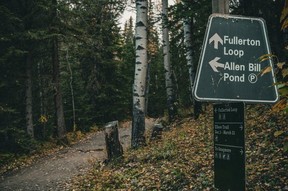 Nature in no time: Fullerton Loop offers easy adventure in foothills ...