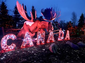 Zoo Lights 2024