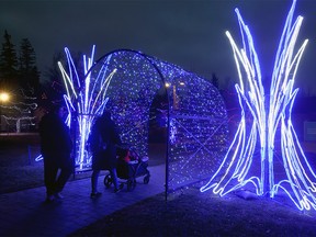 Zoo Lights 2024