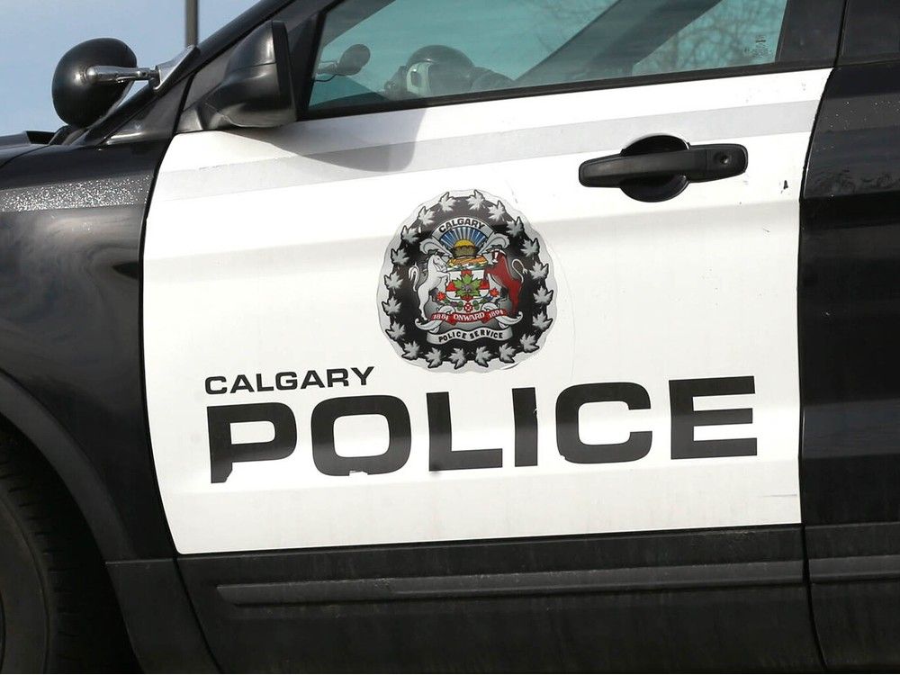 One person was arrested and another sought by police after a Calgary Transit driver was randomly attacked downtown on Saturday.