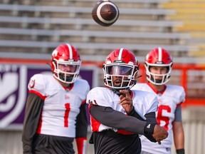 P.J. Walker