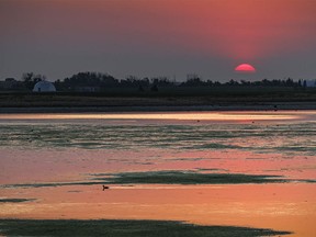 The sun rises over a pond on the eastern edge of the city in Calgary, Ab., on Wednesday, June 11, 2025.
