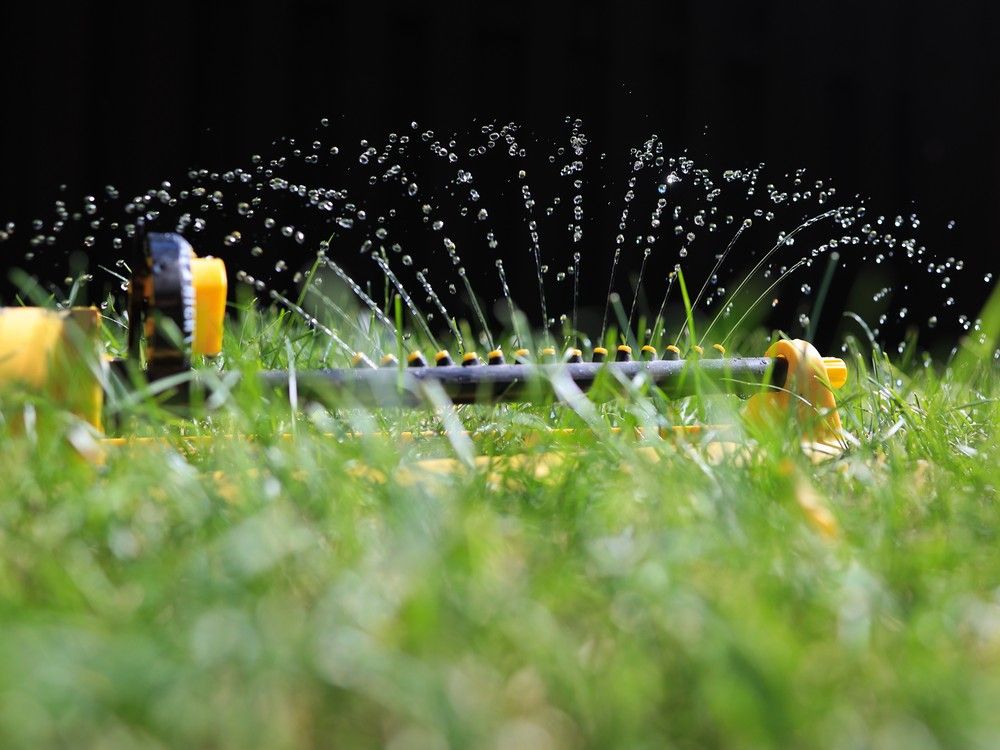 Calgary is facing one of the hottest days of the year so far — which could put a strain on the water system, the city warns. 