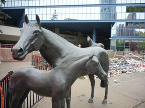 Family of Horses
