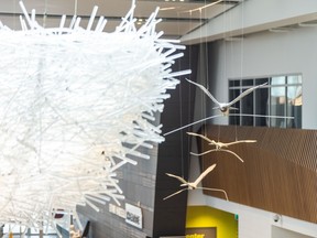 The Nest