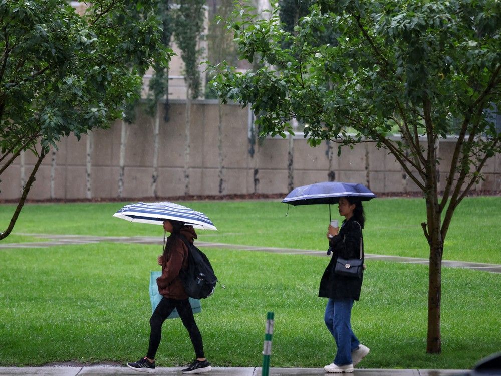 Calgary’s Soaked Summer Brings Flood Worries and Hope for Farmers