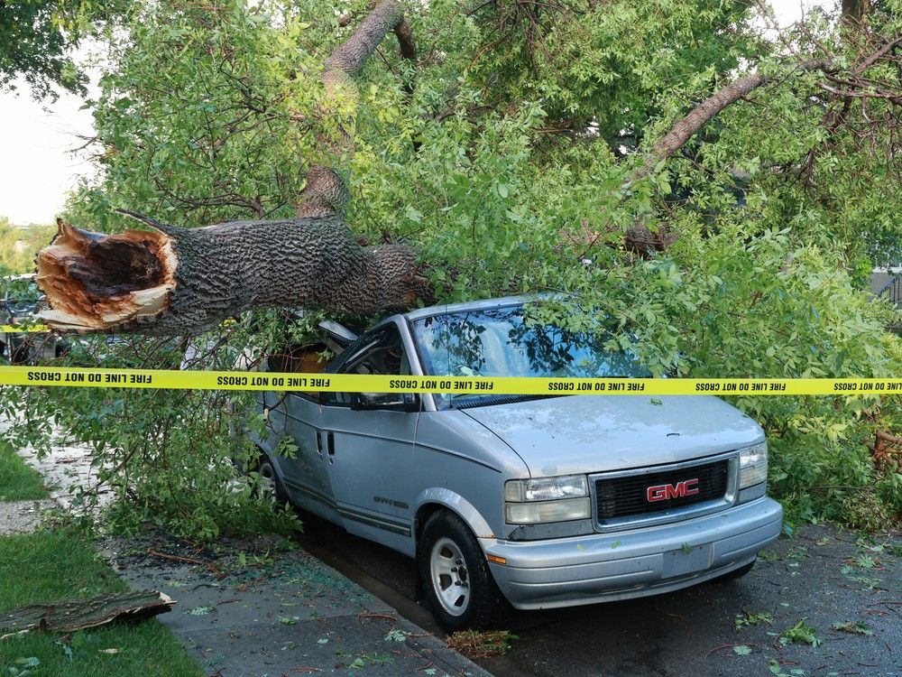 A sudden hailstorm on July 13, 2025 swept through Calgary on Sunday, causing damage in communities like Thorncliffe.