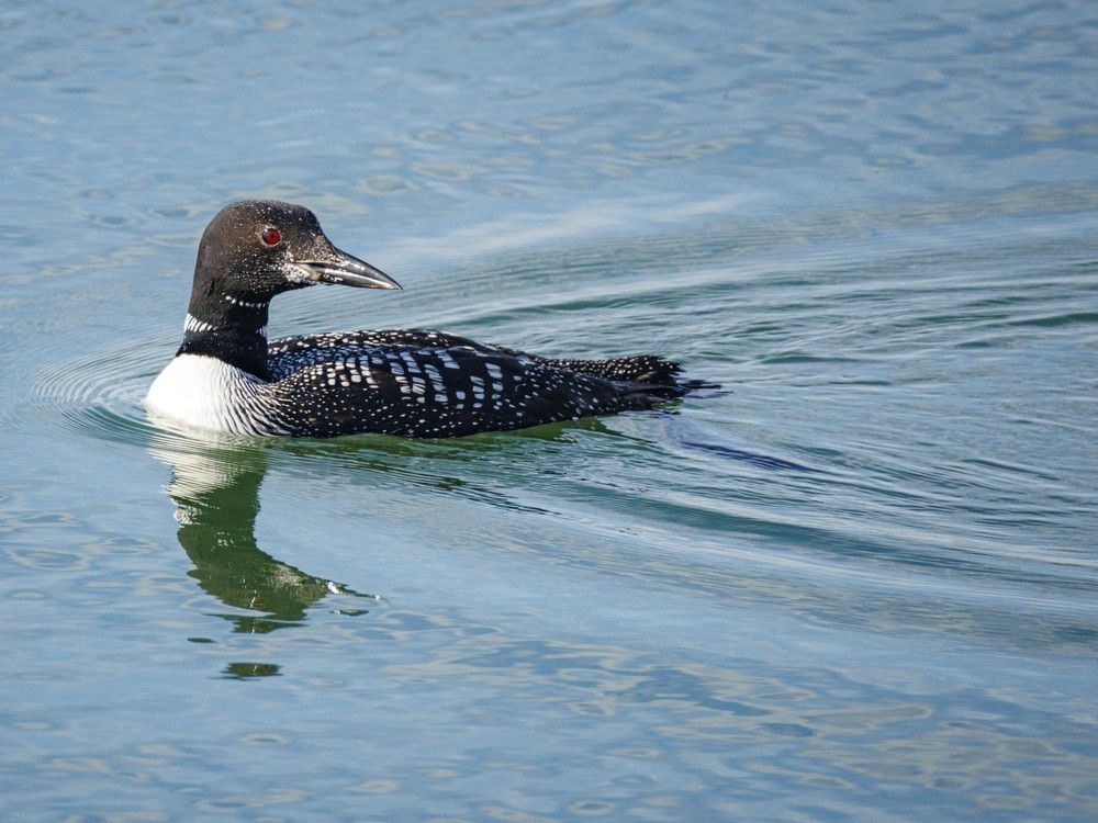 On the Road: A warm summer day