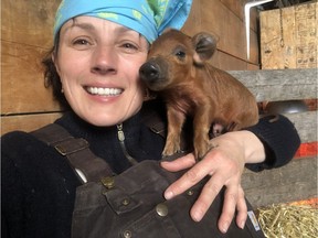 Mangalitsa pigs