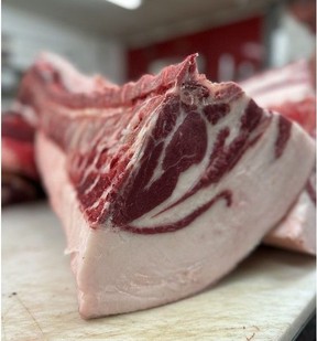 Mangalitsa