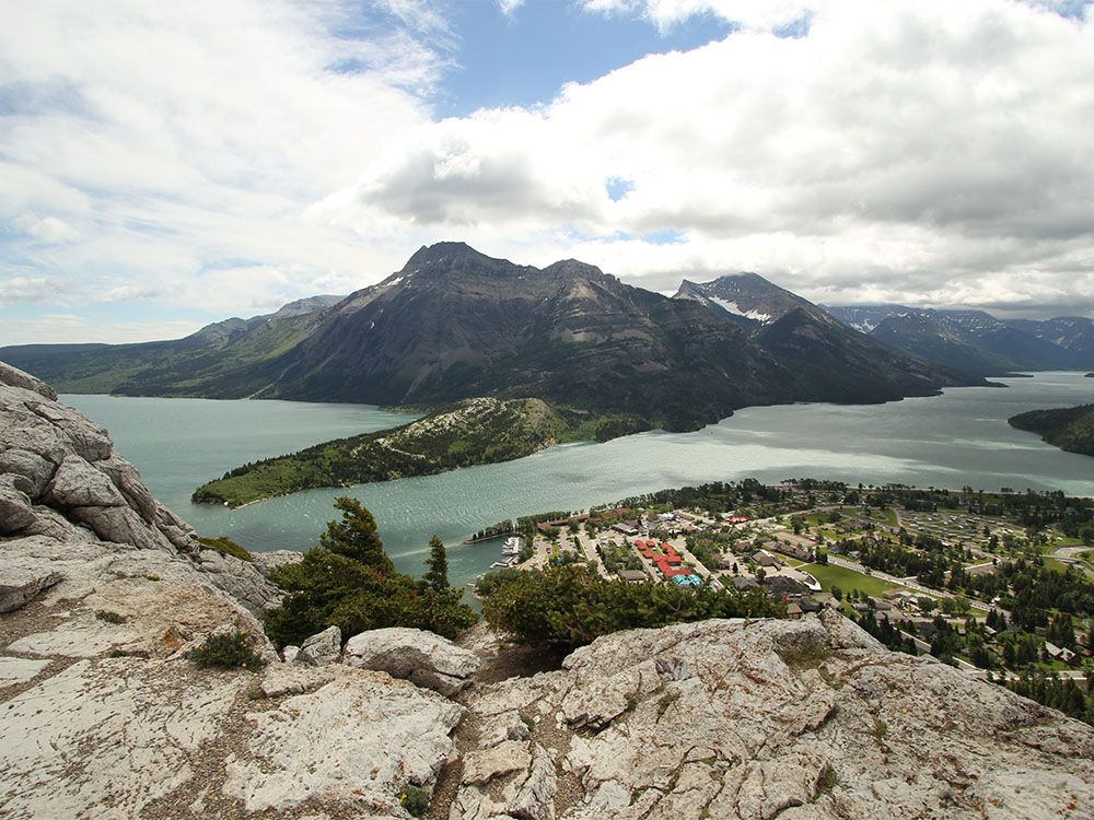 Waterton Lakes National Park briefly reached capacity on the August long weekend Sunday, with traffic diverted away temporarily.
