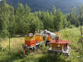 West Kootenays