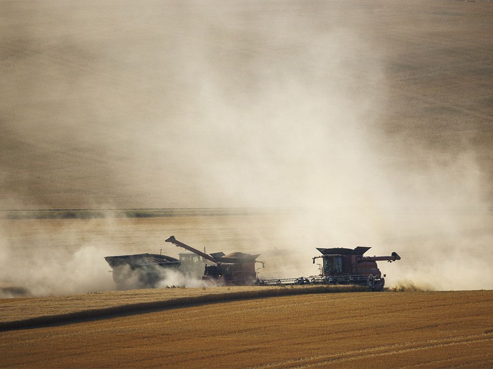 Faced with falling crop prices and rising costs, many farmers in Western Canada are squeezing as much as they can out of older equipment.