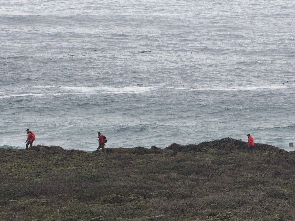  The weekend search for a missing five-year-old girl, swept away by a wave, included shoreline surveillance. Photo courtesy Monterey County Sheriff