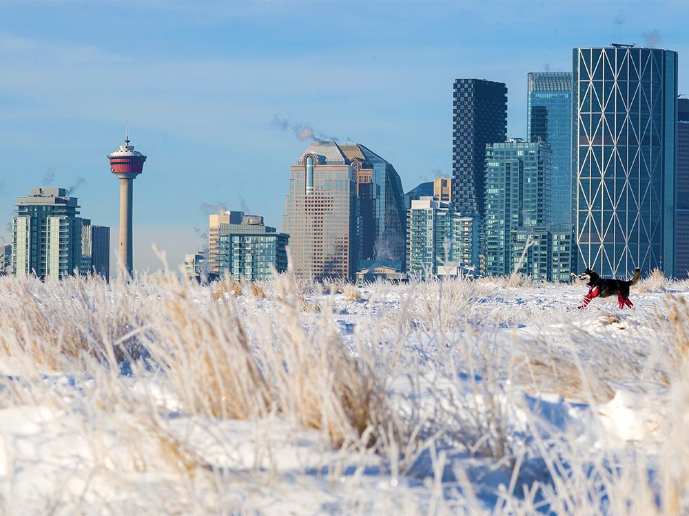 Check out what Postmedia Calgary photographers saw in and around the city this weekend, featuring snowy weather and a concert-filled weekend