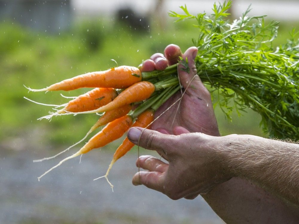 An Alberta couple's diamond ring was found after 50 years of looking and wondering what happened to it.