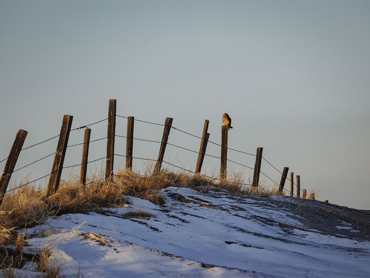 Mike Drew was awed by the vastness of gorgeous prairie landscape but he could also see the road, the top third of which was nearly all ice.
