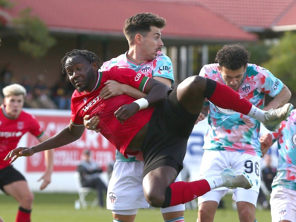 Cavalry sign champion, top-shelf CPL defender Amer Didić