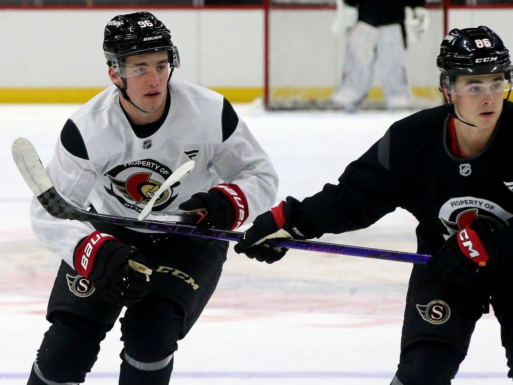 Calgary Hitmen Acquire Senator’s Prospect Blake Vanek from Wild