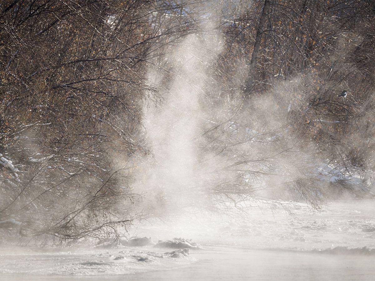 Urban Winter Exploration: Finding Beauty in Calgary's Snowstorm