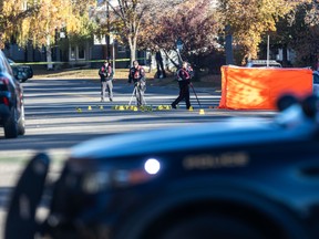 Fatal pedestrian hit and run