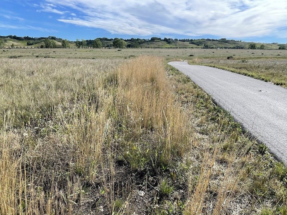 Ward 3 councillor Andrew Yule wants to establish an intermunicipal pathway network that links Calgary to its neighbouring cities and towns.