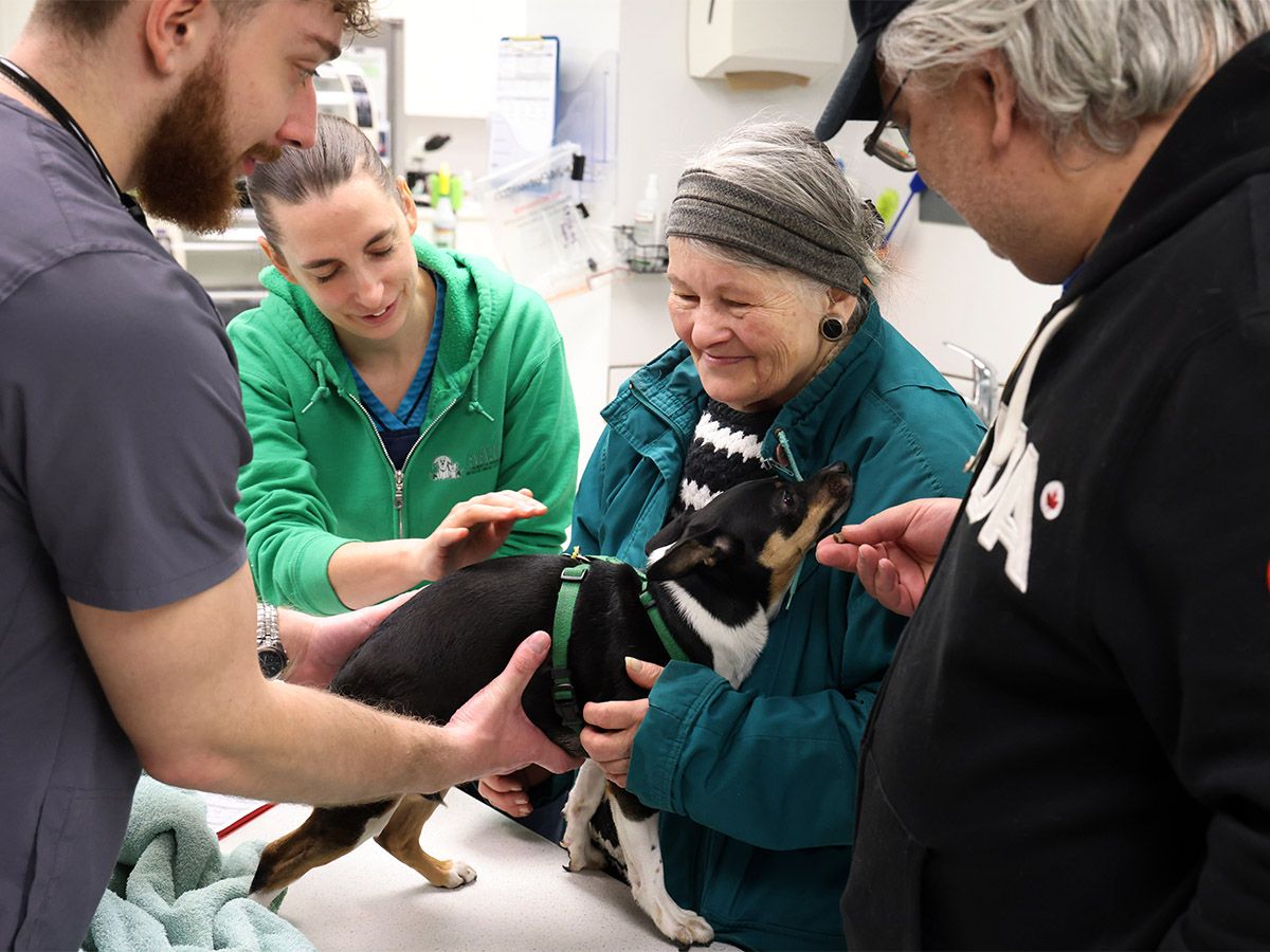 AARCS helps keep seniors and their pets together with no-cost veterinary care