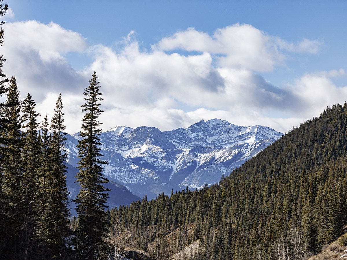 The Kananaskis Country user pass generated $15 million in 2025 — money that's supposed to be invested in the mountainous recreational area.
