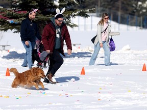 National Service Dogs' Easter Egg Hunt 2026