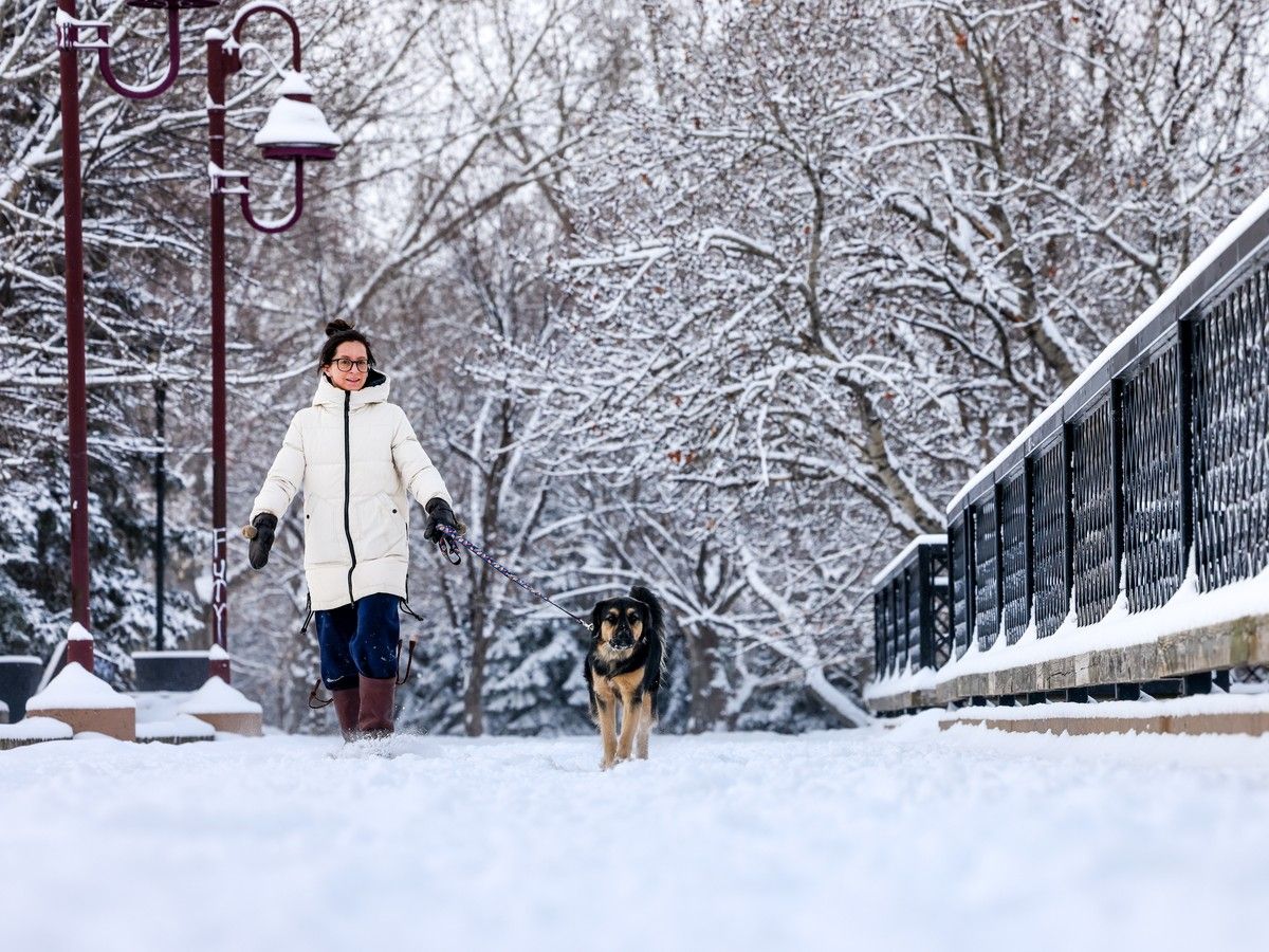 After another snowstorm on Sunday night, an Environment Canada meteorologist says this is on trend for Calgary's snowiest time of the year.