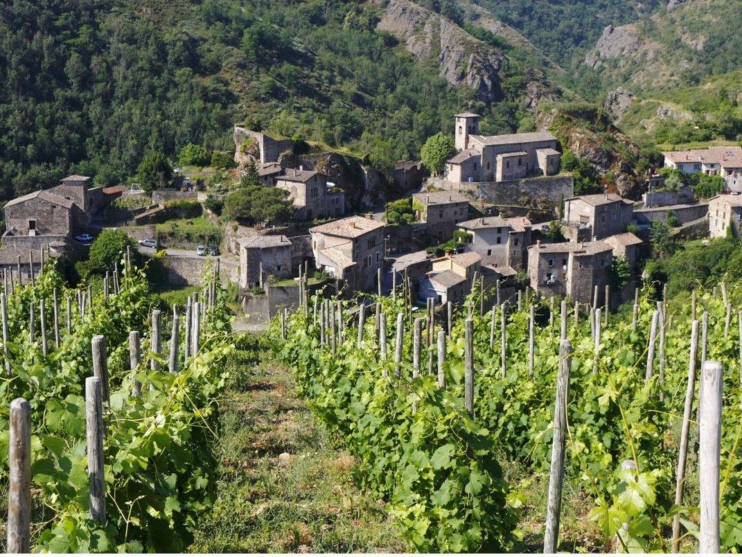 Last: The many sides of sauvignon blanc