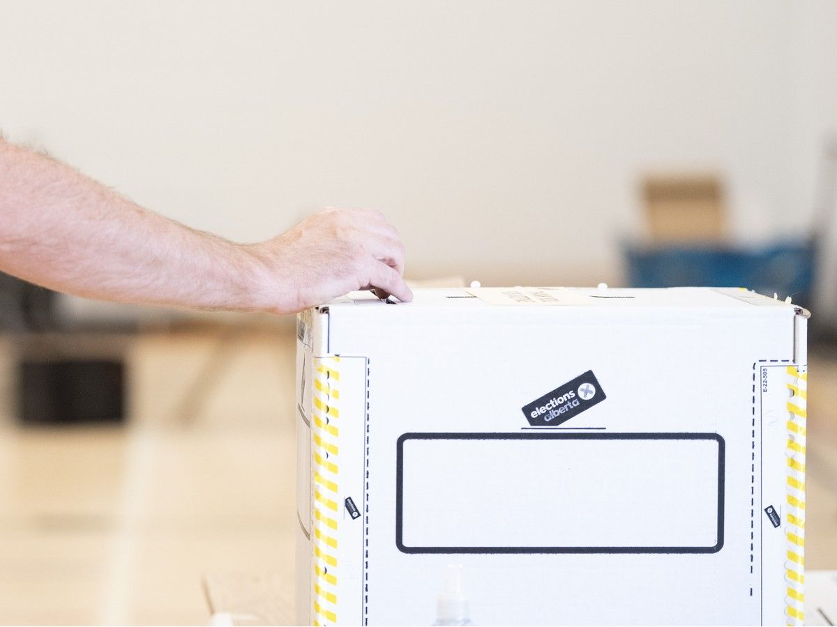 Leong: Alberta government should butt out of electoral boundaries redraw