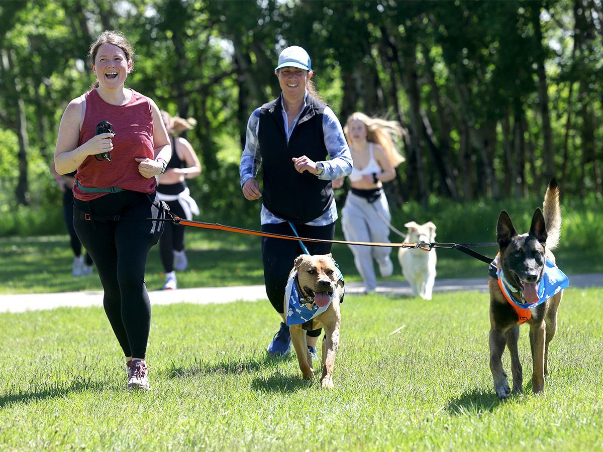 Calgary Humane Society Dog Jog 2026