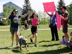 Calgary Humane Society Dog Jog 2026