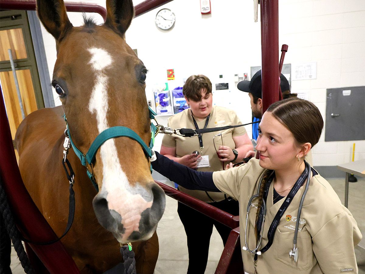 Calgary Stampede's Youth Veterinary Science Challenge 2026