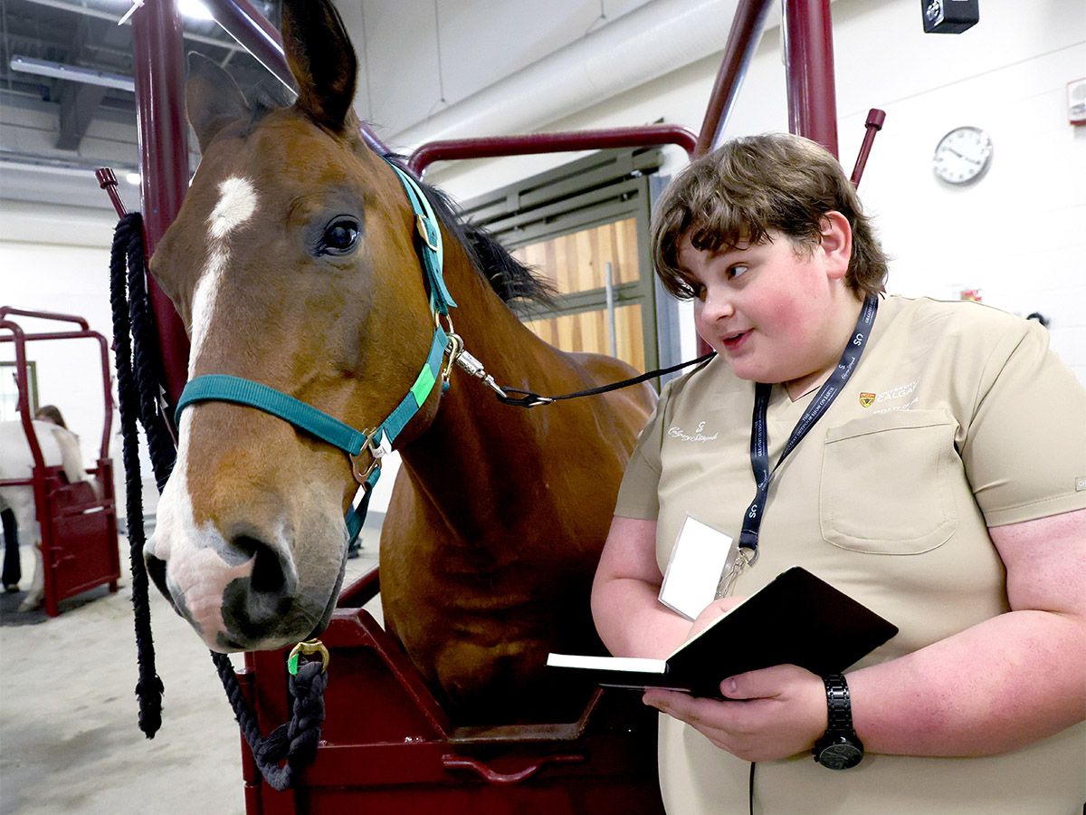 Calgary Stampede's Youth Veterinary Science Challenge 2026