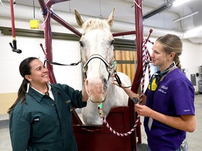 Calgary Stampede's Youth Veterinary Science Challenge 2026